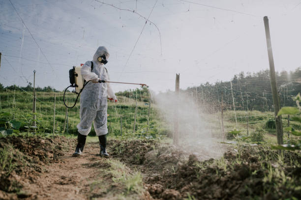 Professional Pest Control in Gambier, OH