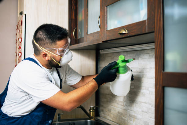 Best Pest Control for Businesses  in Gambier, OH