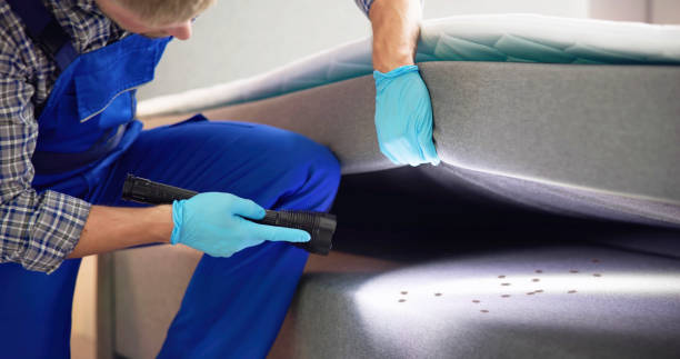 Best Local Pest Control Services  in Gambier, OH