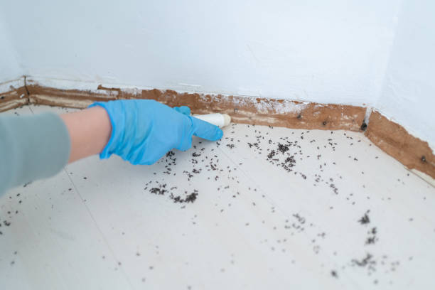 Best Local Pest Control Services  in Gambier, OH