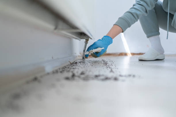 Best Pest Removal Services  in Gambier, OH